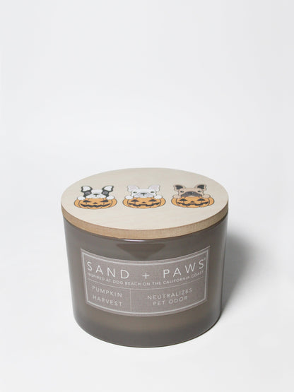 Cozy Sand + Paws Pumpkin Harvest 12 oz scented candle