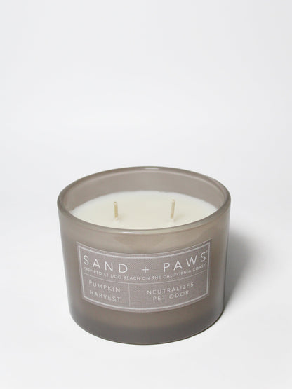 Cozy Sand + Paws Pumpkin Harvest 12 oz scented candle