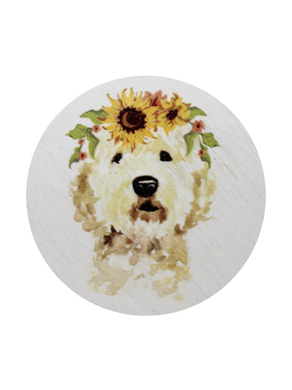 Cozy Sand + Paws Mango Tangerine 12 oz scented candle