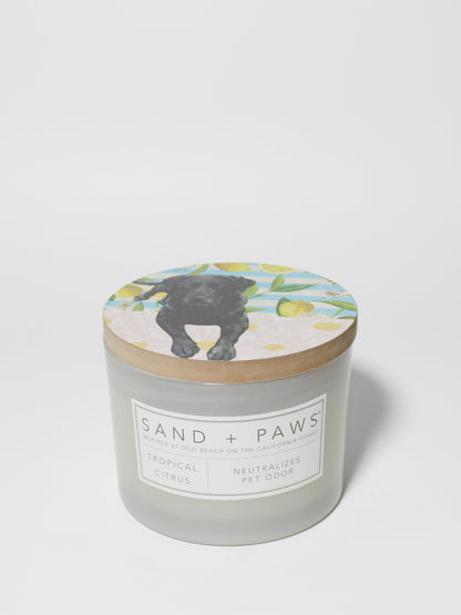Cozy Sand + Paws Tropical Citrus 12 oz scented candle