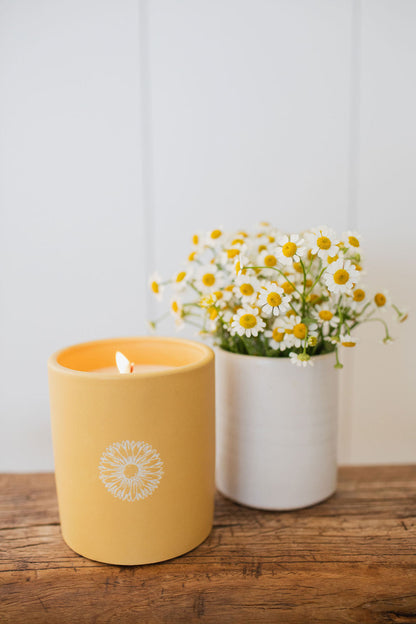 Cozy Sun Washed Citrus 12 oz scented candle