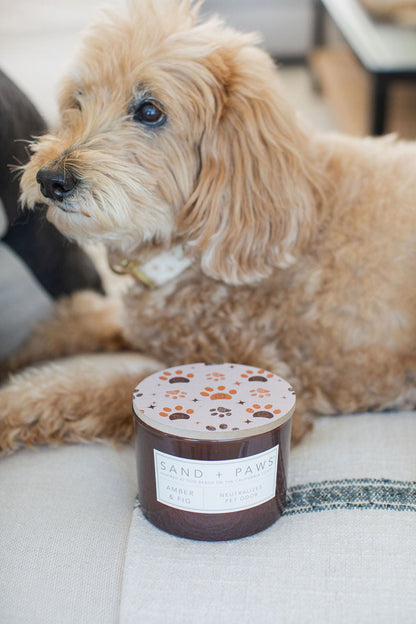 Cozy Sand + Paws Amber & Fig 12 oz scented candle
