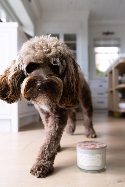 Cozy Sand + Paws Spiced Gingerbread 12 oz scented candle