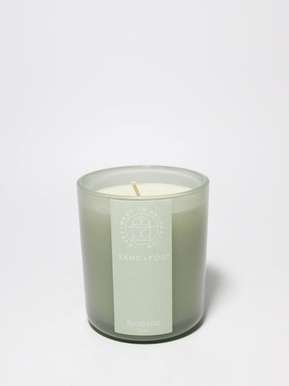 Cozy Eucalyptus 10 oz scented candle