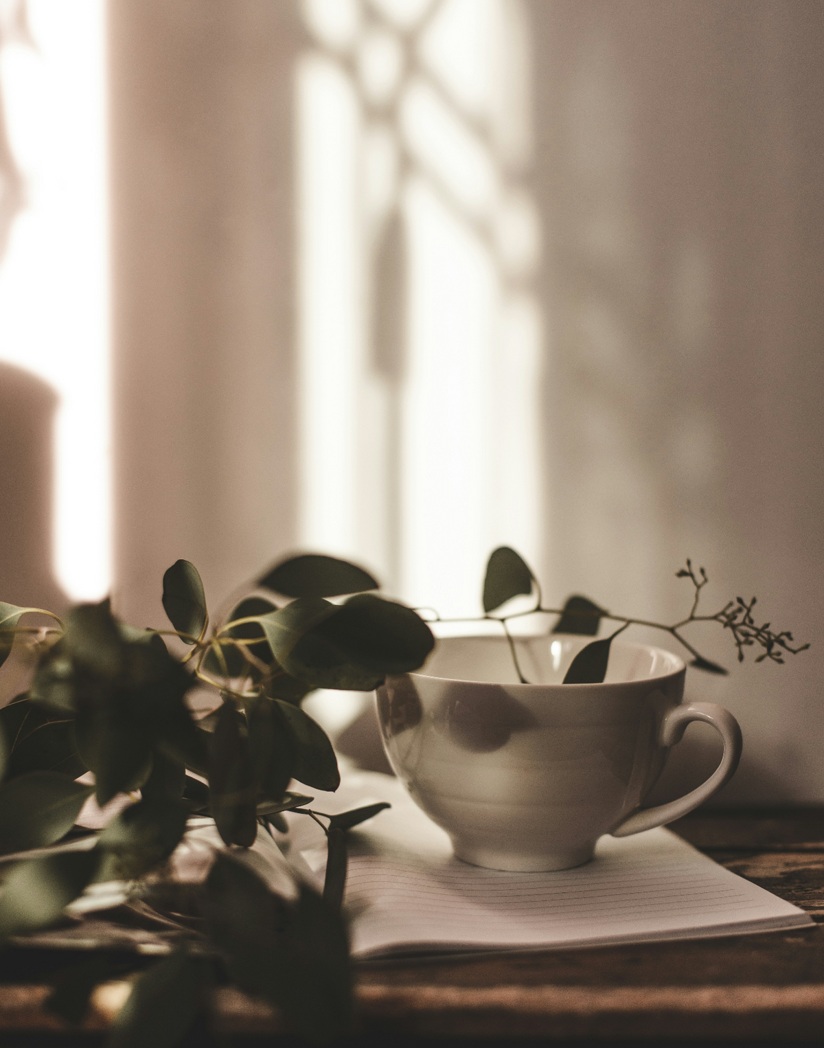 Nourishing Eucalyptus Mint 15.7 oz Liquid Hand Soap