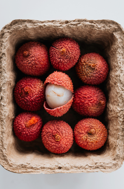 Cozy Lychee & Currant 12 oz scented candle