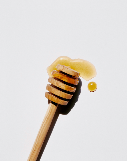 Cozy Sweet Honey 10 oz scented candle