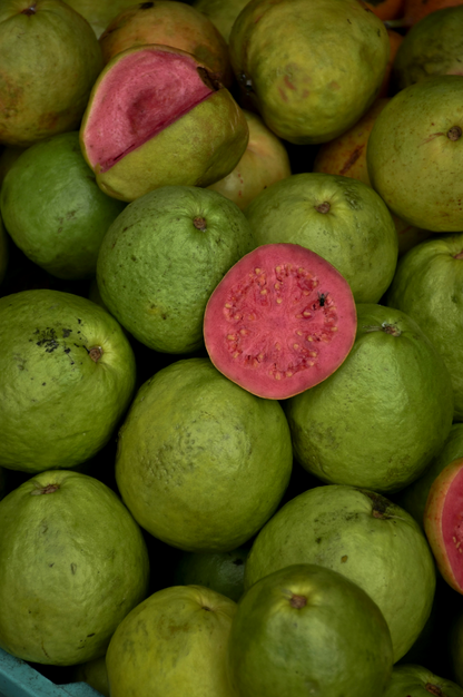 Cozy Paradise Guava 12 oz scented candle