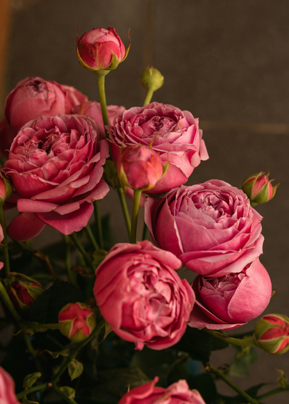 Elegant Rose & Peony 50 ml Perfume Oil Dropper