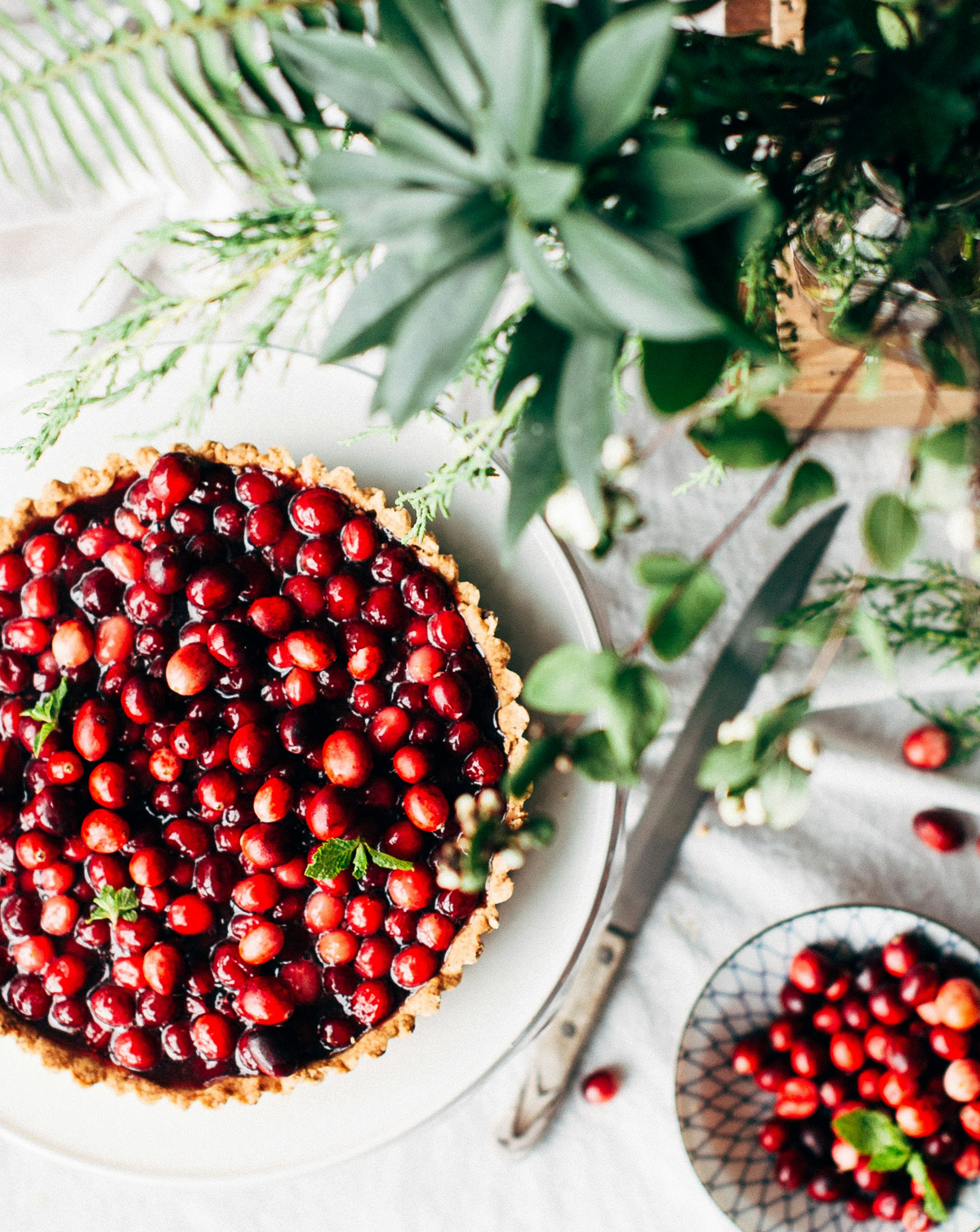 Cozy Cranberry Evergreen 24 oz scented candle