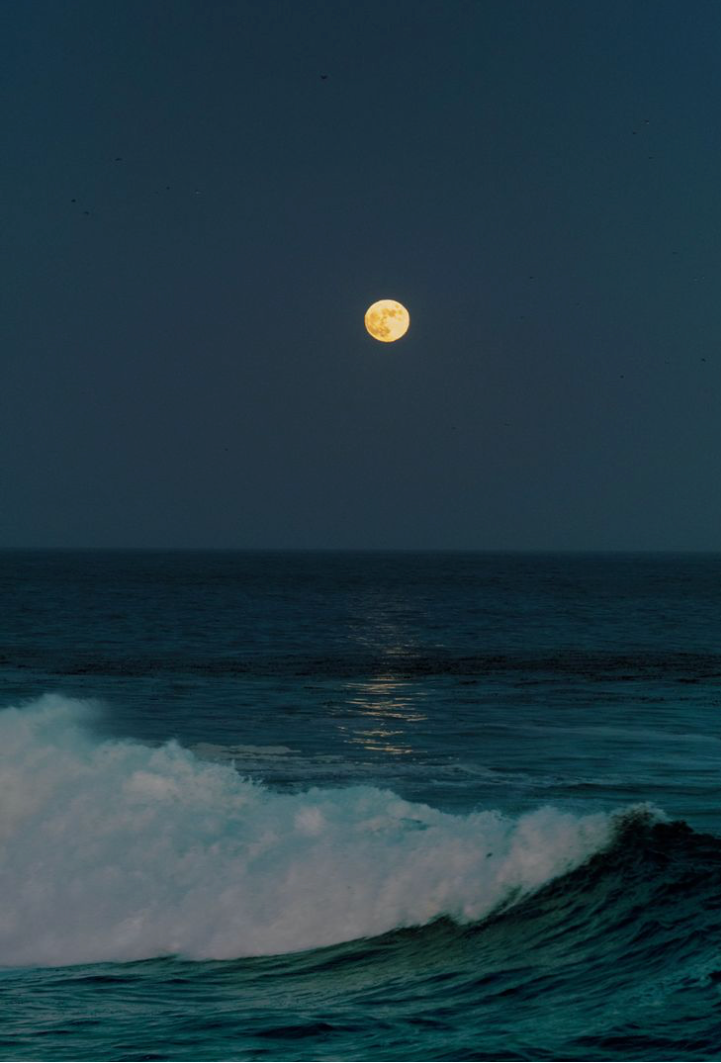 Aromatic Ocean Noir 100 ml Reed Diffuser
