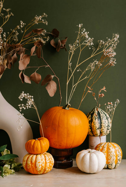 Cozy Pumpkin & Eucalyptus 21 oz scented candle